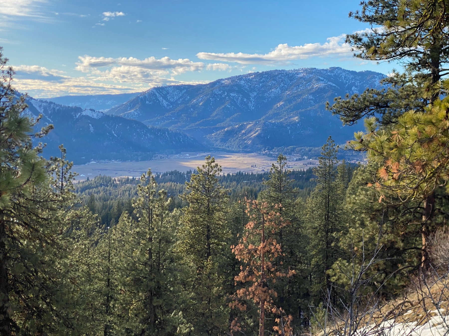 View of the valley floor from a nearby trail